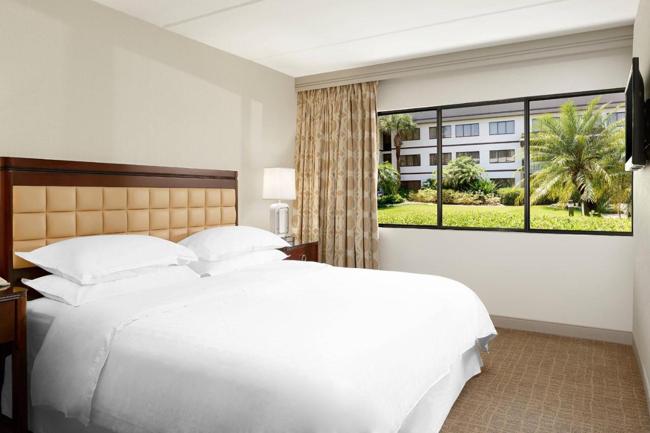 1 Bedroom Suite, 1 King, Sofa bed,1417546077:JPEG