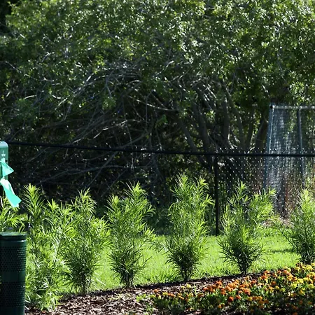Home2 Suites By Hilton Orlando Airport-2